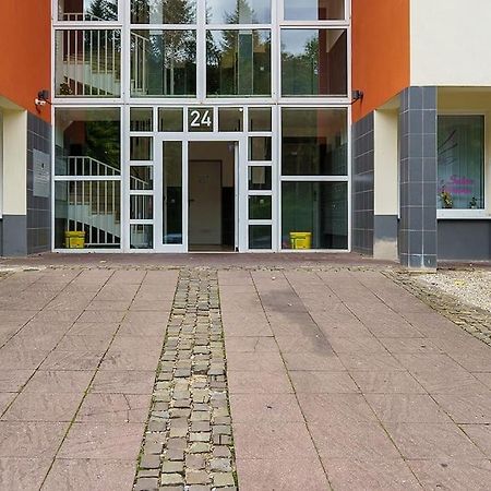 Düren - Eifel Wohlfuehl-Wohnen In Dueren 아파트 외부 사진